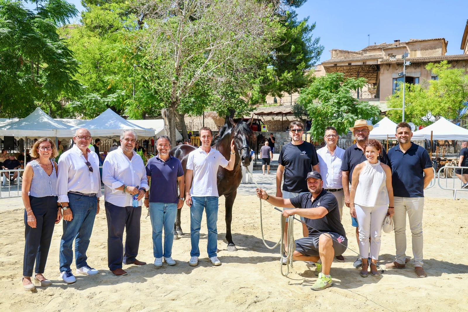 El presidente Galmés asiste a la primera Diada del Caballo Mallorquín